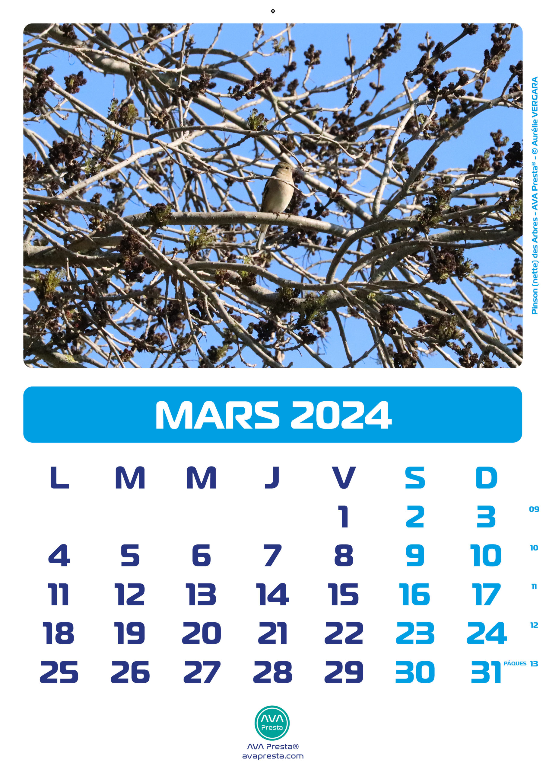 AVA Presta - Calendrier Calend'Art 2023 - Mars