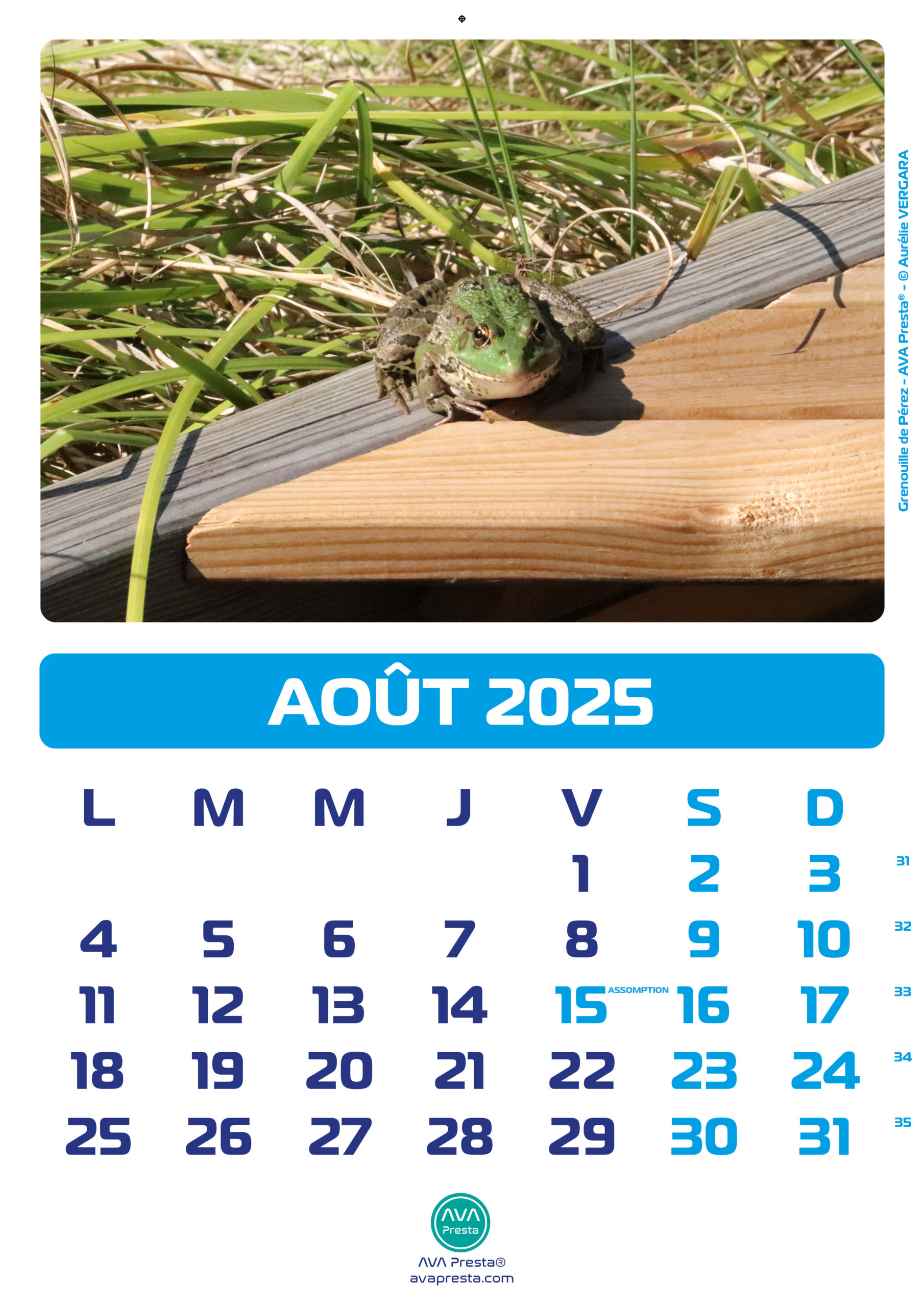 AVA Presta - Calendrier Calend'Art 2023 - Août