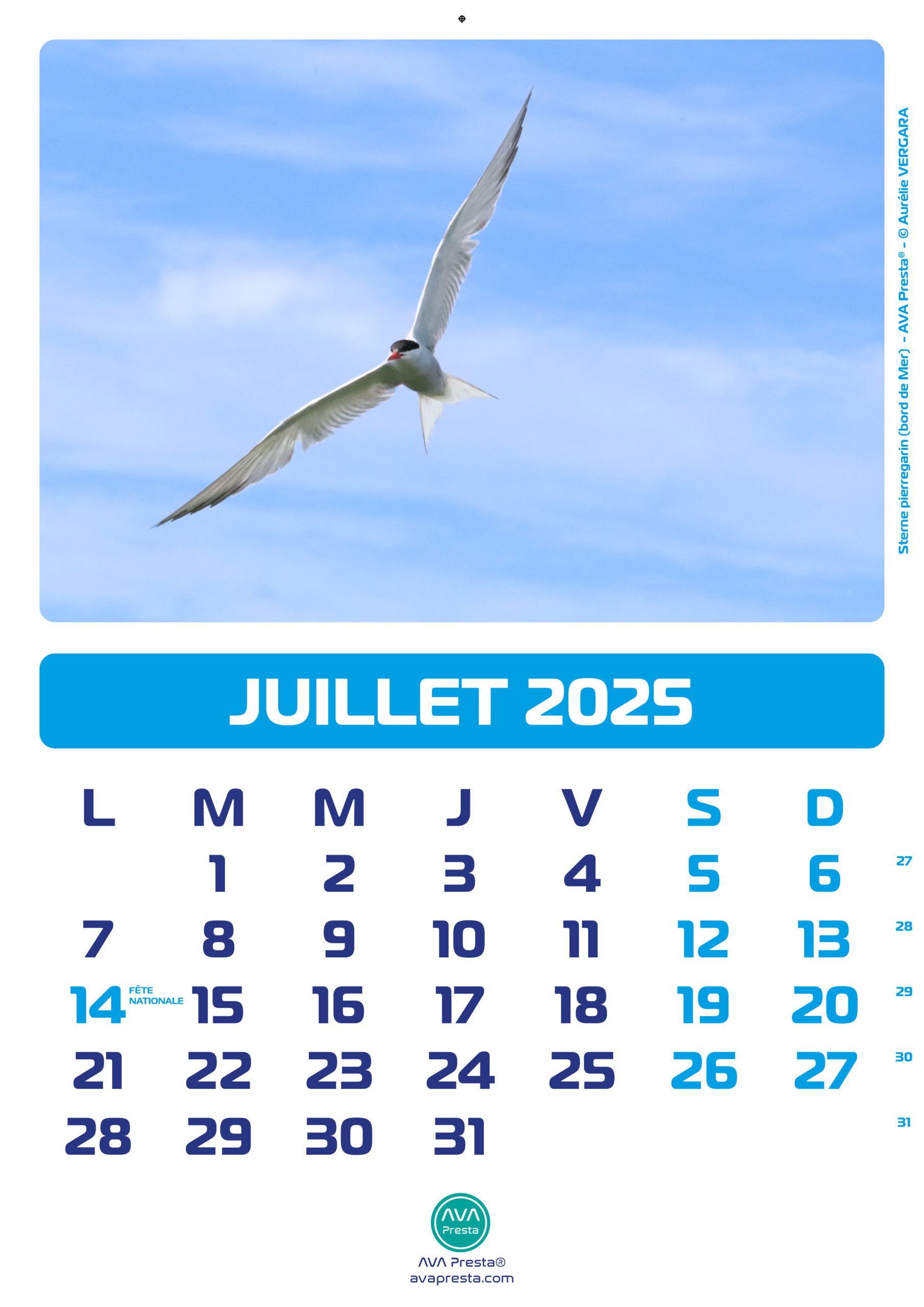 AVA Presta - Calendrier Calend'Art 2023 - Juillet