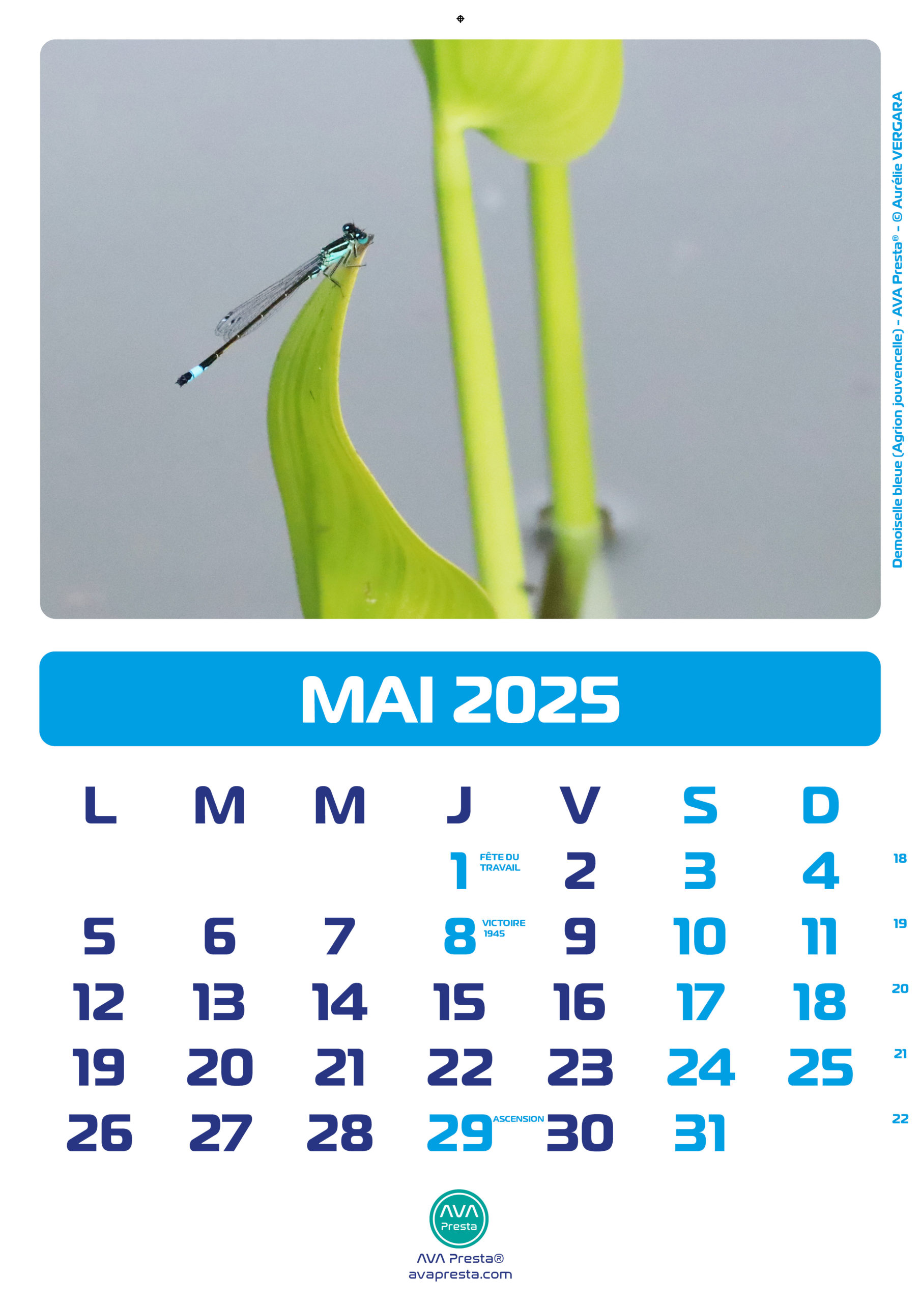 AVA Presta - Calendrier Calend'Art 2023 - Mai