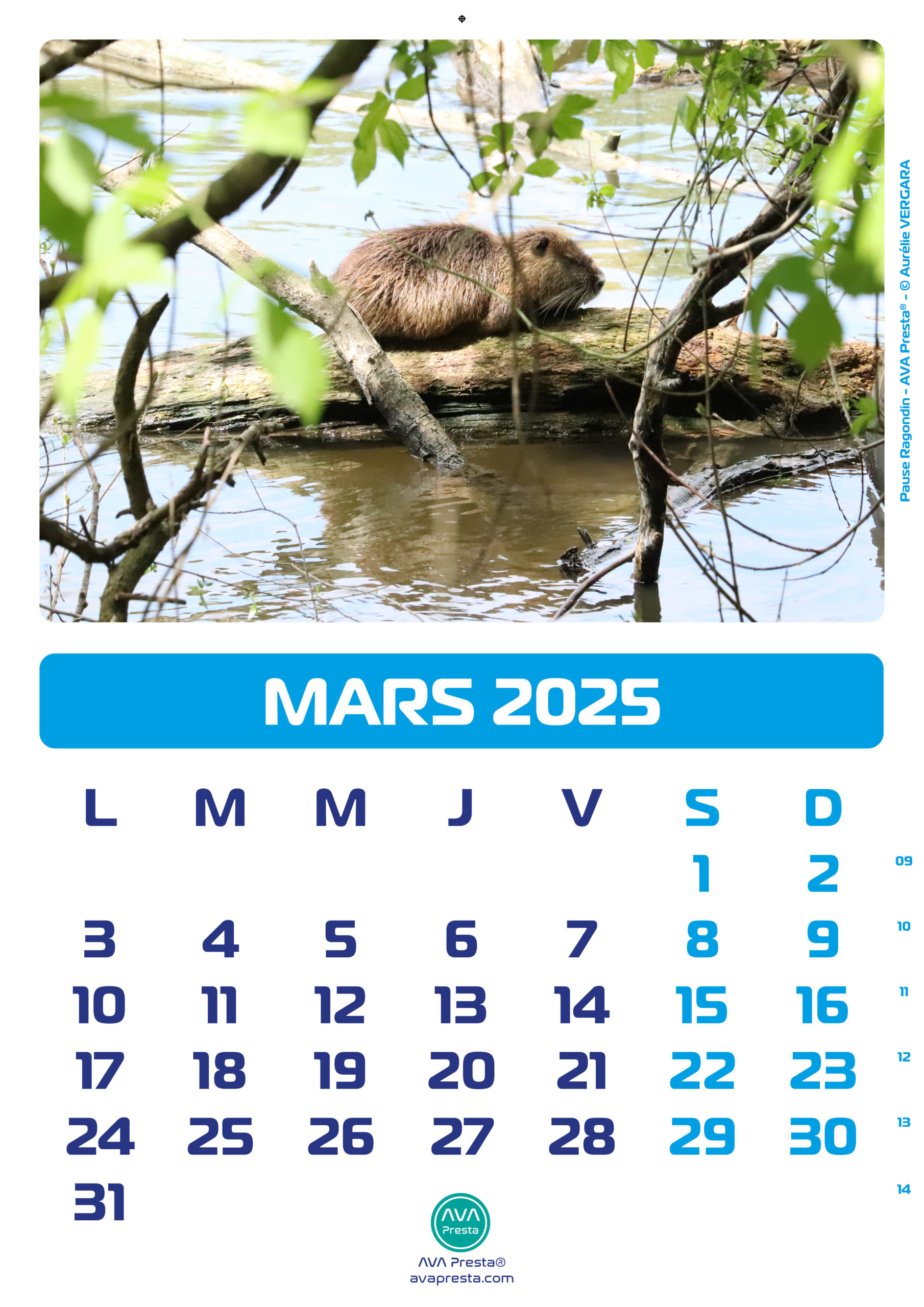 AVA Presta - Calendrier Calend'Art 2023 - Mars