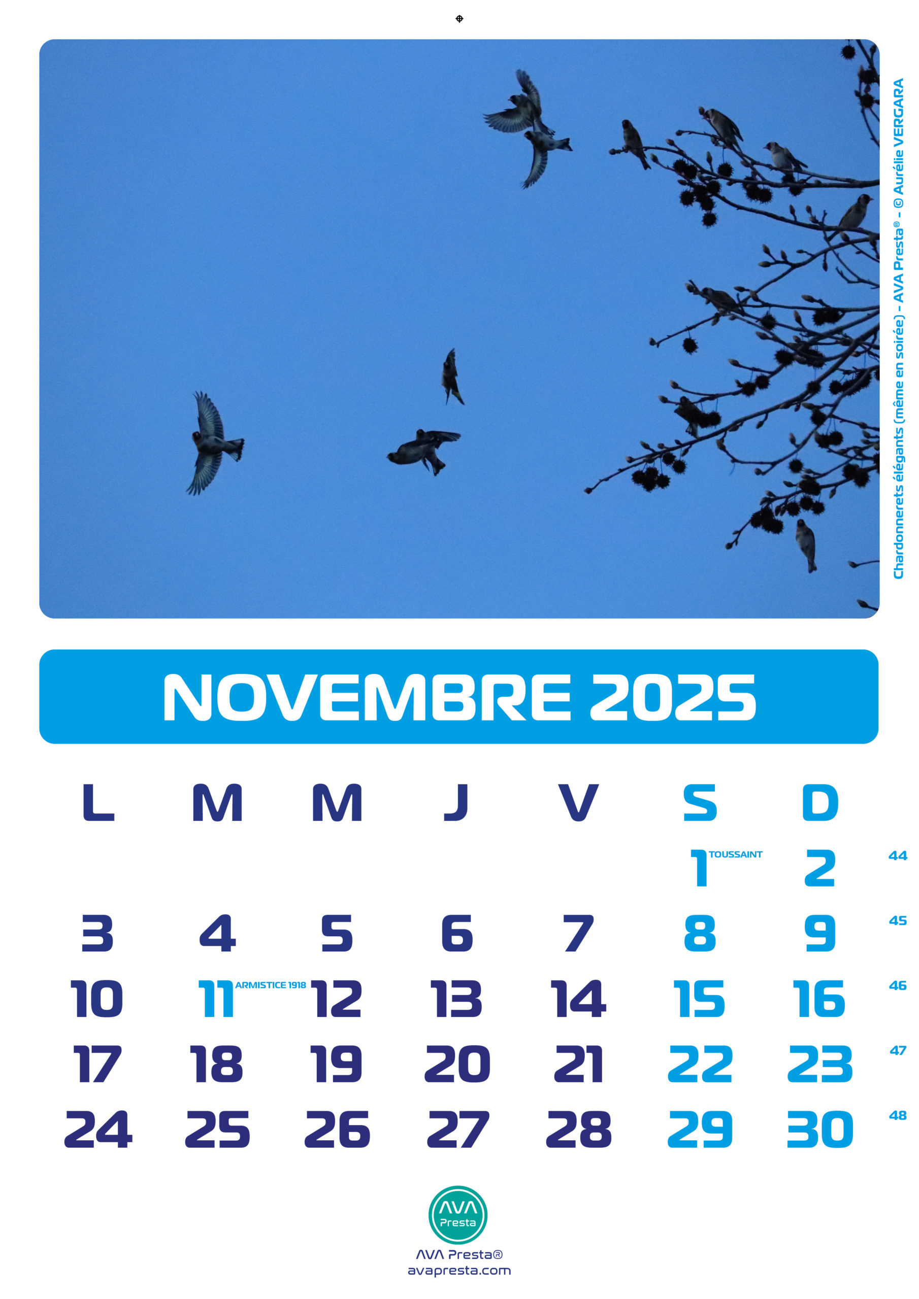 AVA Presta - Calendrier Calend'Art 2023 - Novembre