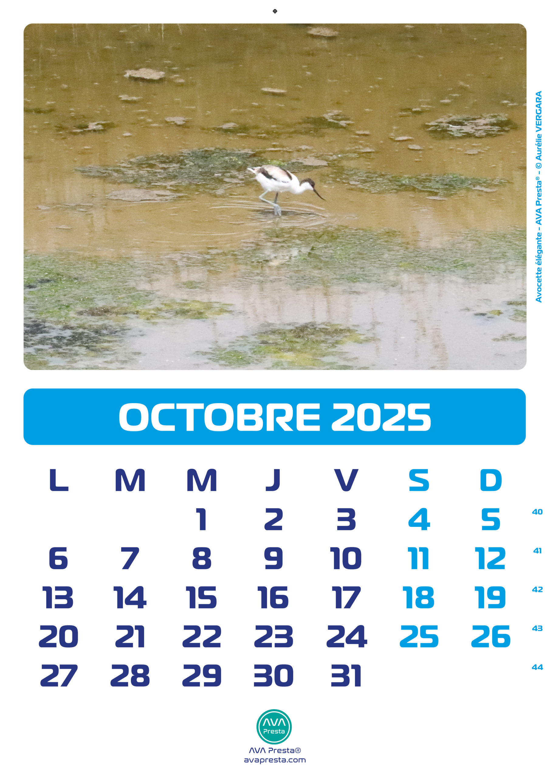 AVA Presta - Calendrier Calend'Art 2023 - Octobre