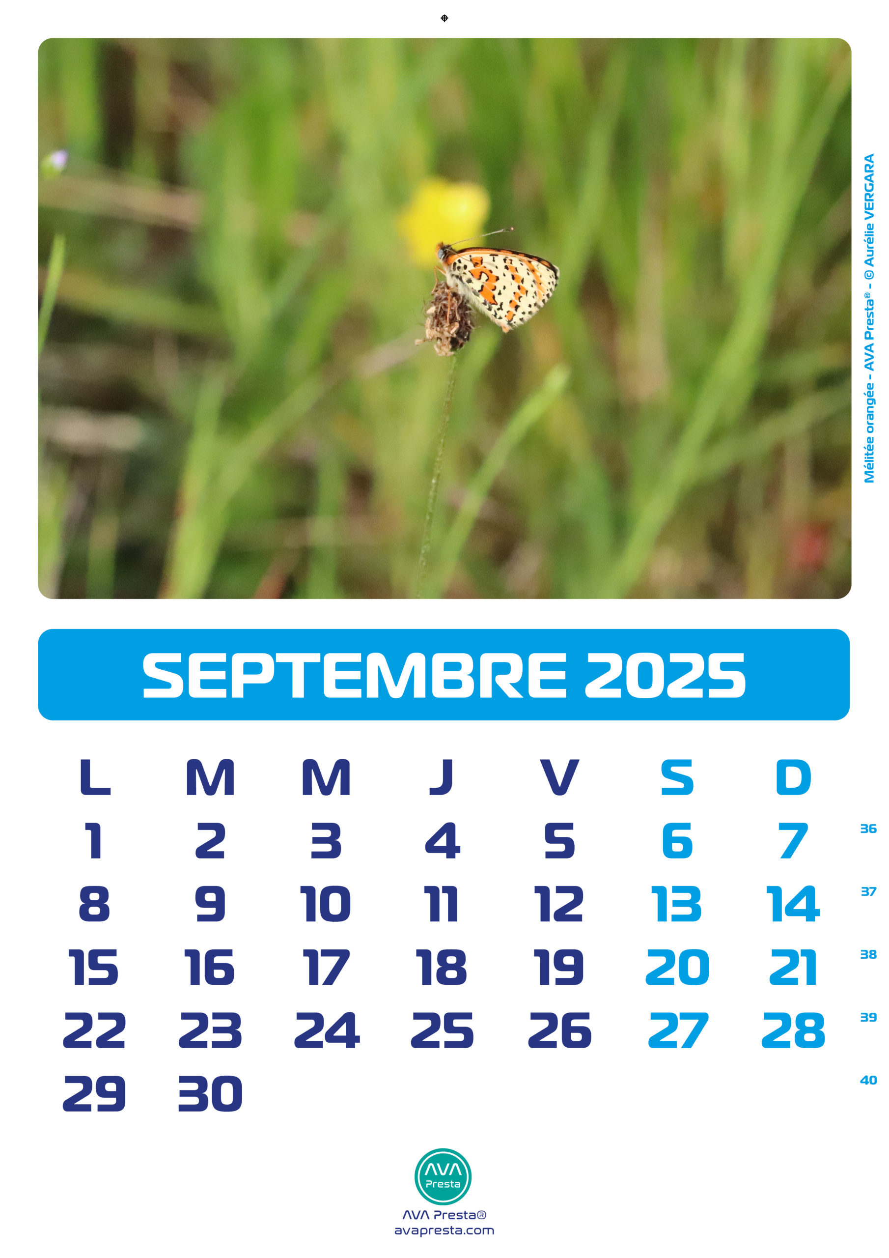 AVA Presta - Calendrier Calend'Art 2023 - Septembre